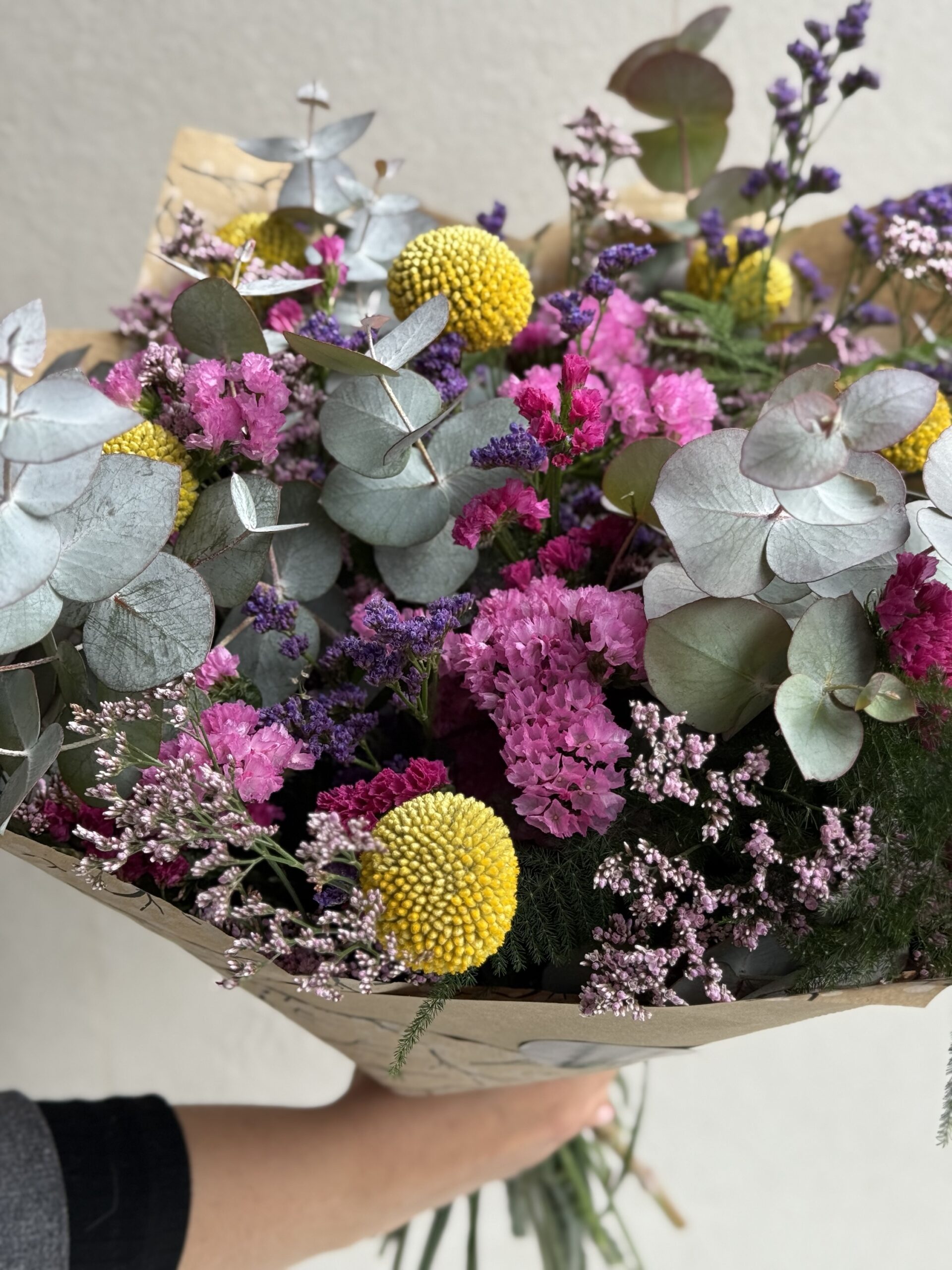 Ramo GAIA - Imagen 2