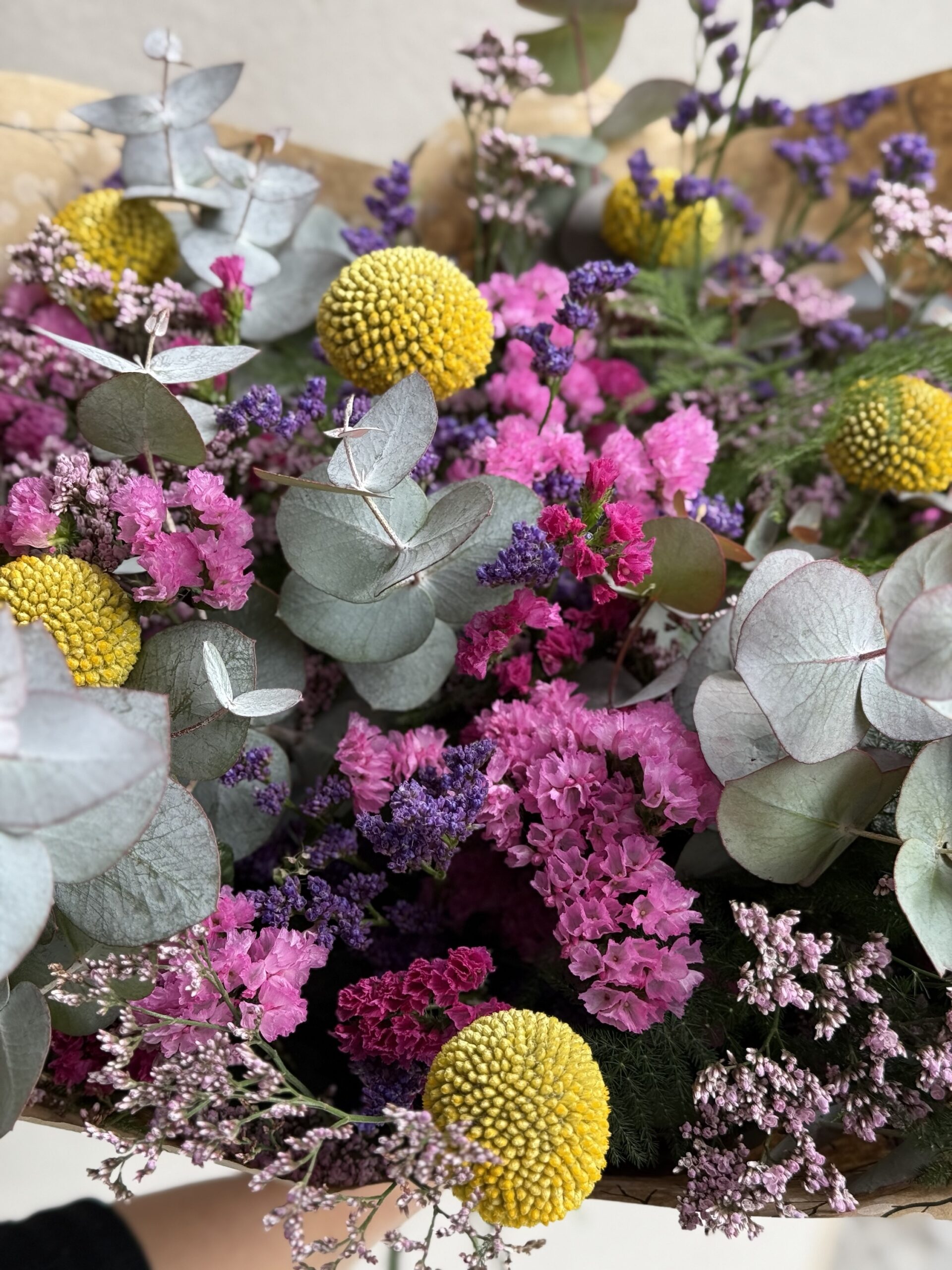 Ramo GAIA - Imagen 3