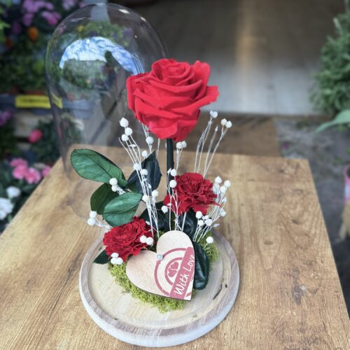 Cúpula de cristal con rosa preservada roja