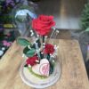 Cúpula de cristal con rosa preservada roja