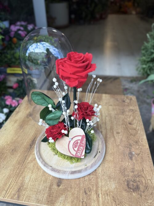Cúpula de cristal con rosa preservada roja