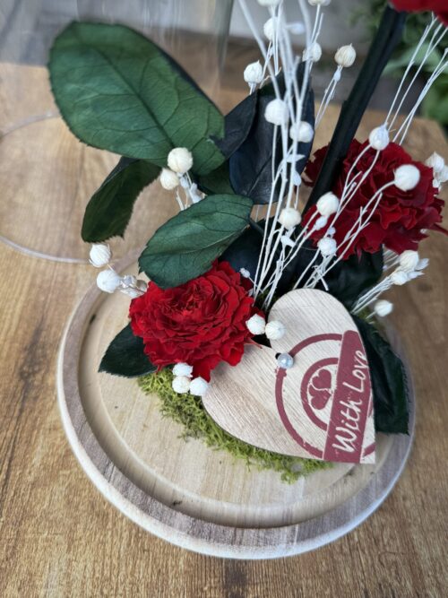 Cúpula de cristal con rosa preservada roja