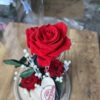 Cúpula de cristal con rosa preservada roja