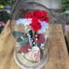 Cúpula de cristal con rosa preservada roja