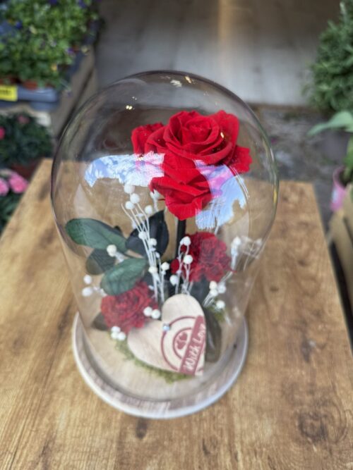 Cúpula de cristal con rosa preservada roja