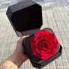 Rosa Roja Preservada en Estuche de Terciopelo Negro