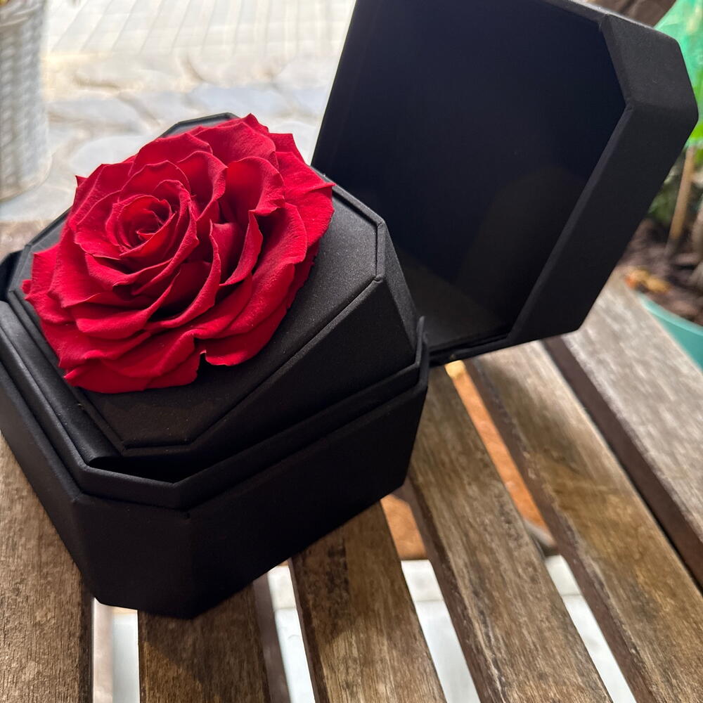 Rosa Roja Preservada en Estuche de Terciopelo Negro - Imagen 2