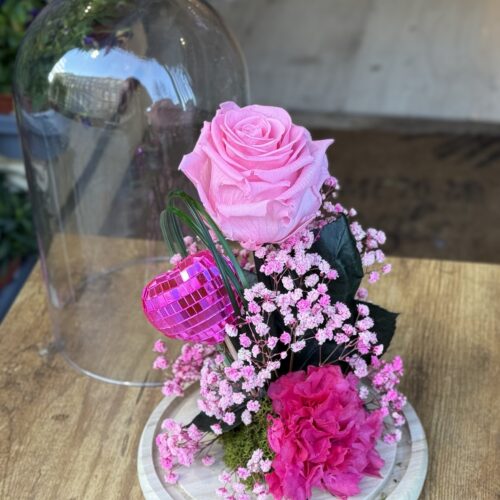 Cúpula de cristal con rosa preservada rosa