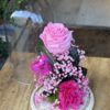 Cúpula de cristal con rosa preservada rosa