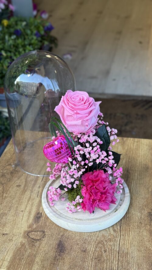 Cúpula de cristal con rosa preservada rosa