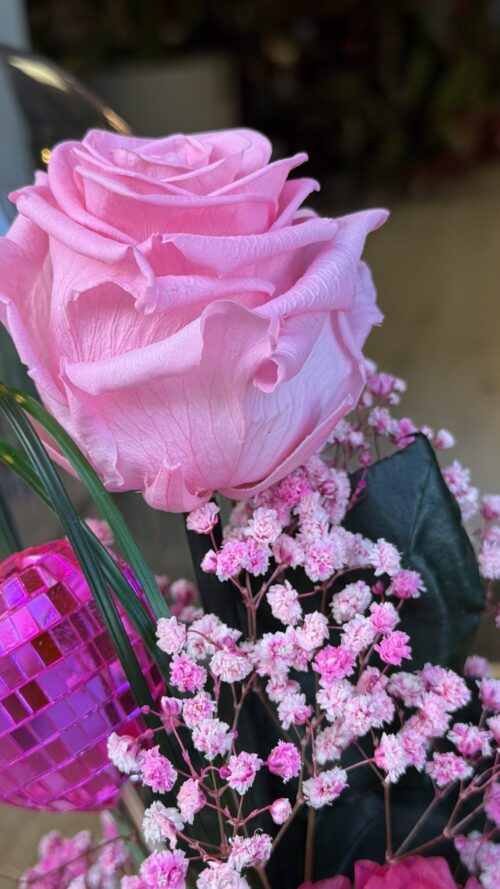 Cúpula de cristal con rosa preservada rosa
