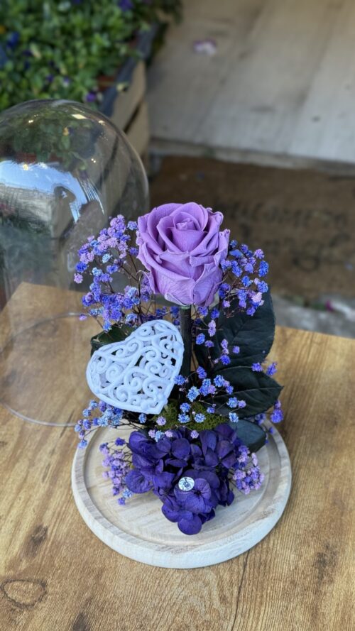 Cúpula de cristal con rosa preservada lila