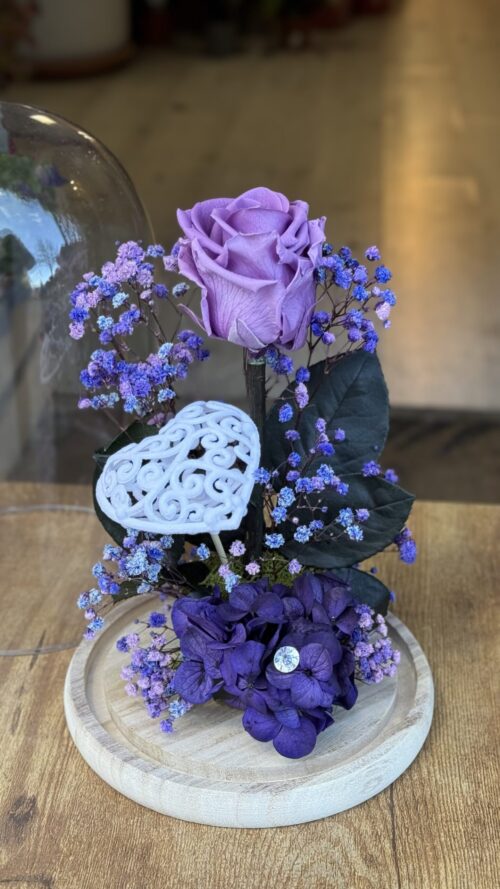 Cúpula de cristal con rosa preservada lila