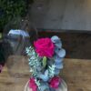 Cúpula de cristal con rosa preservada fucsia