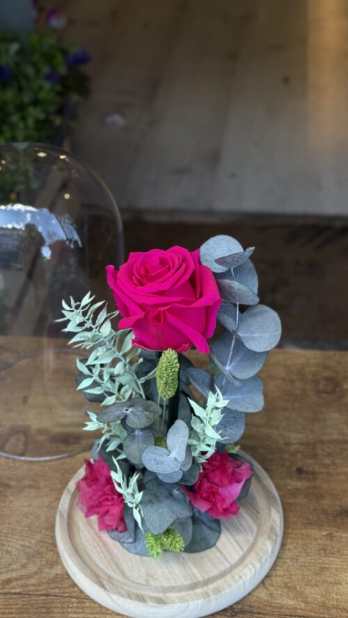 Cúpula de cristal con rosa preservada fucsia