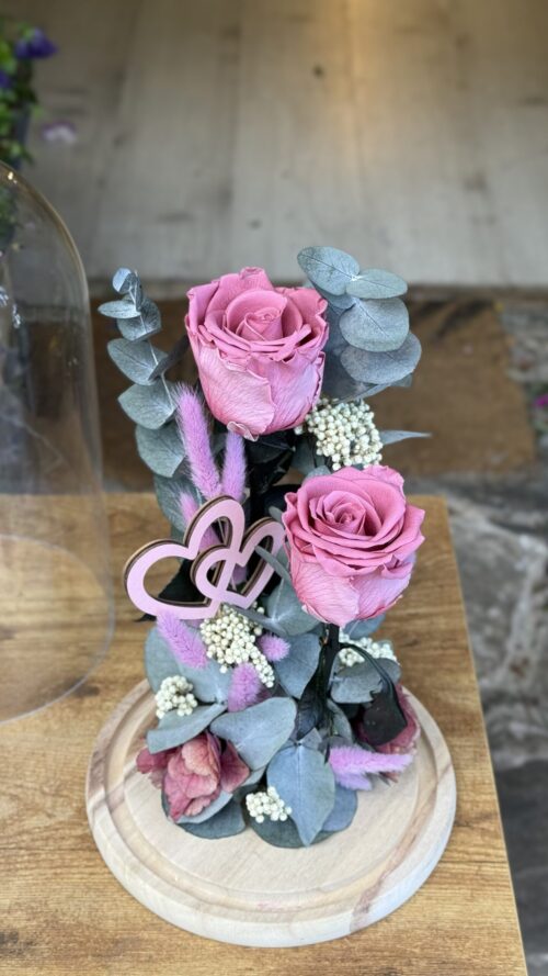 img_3164 Cúpula de cristal con 2 rosas preservadas rosa oscuro