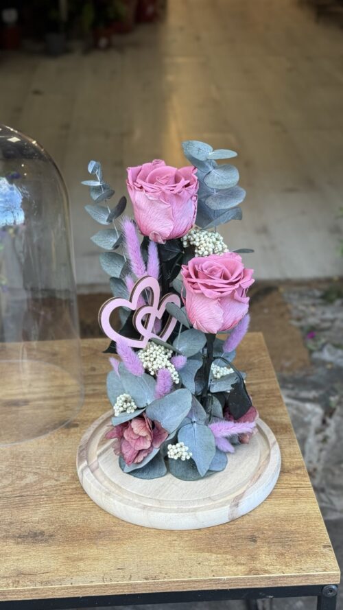 img_3165 Cúpula de cristal con 2 rosas preservadas rosa oscuro