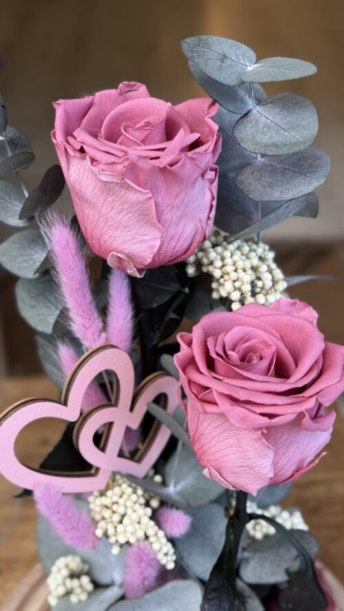 img_3166 Cúpula de cristal con 2 rosas preservadas rosa oscuro