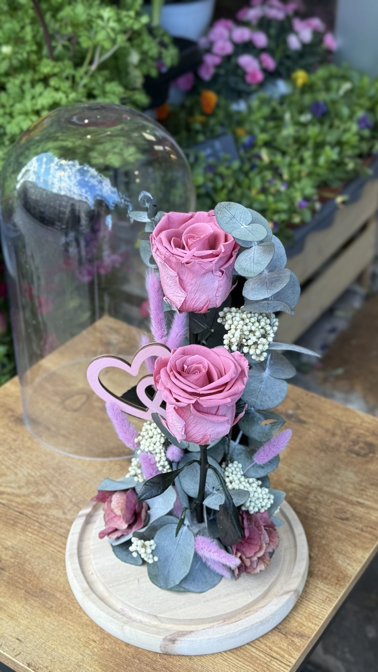 Cúpula de cristal con 2 rosas preservadas rosa oscuro