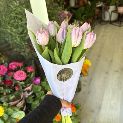 img_4069 Pomo tulipanes lilas