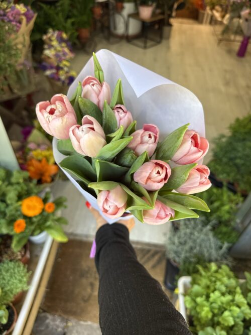 Pomo tulipanes rosas
