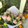Pomo tulipanes rosas