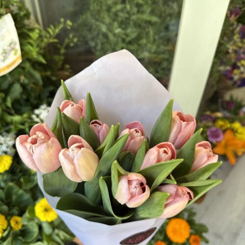 img_4078 Pomo tulipanes rosas