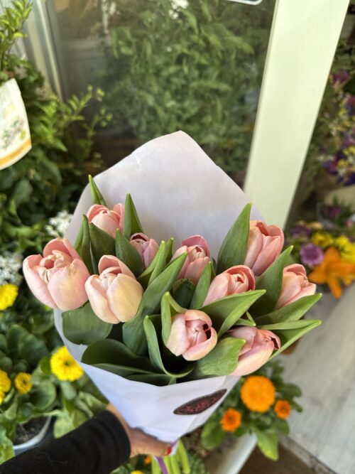 Pomo tulipanes rosas