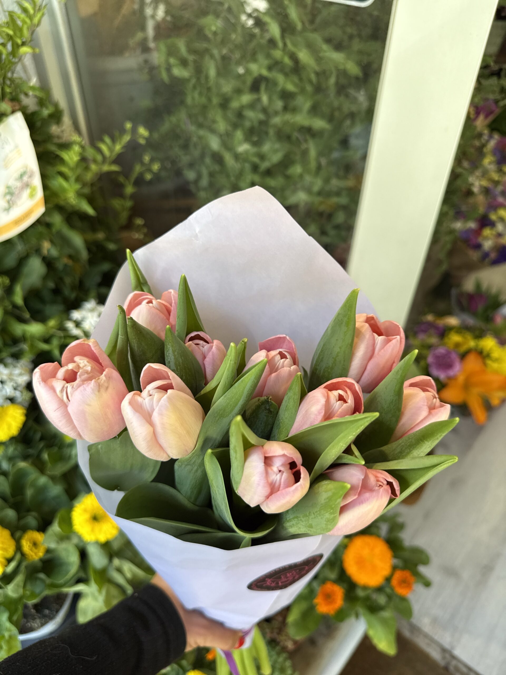 Pomo tulipanes rosas