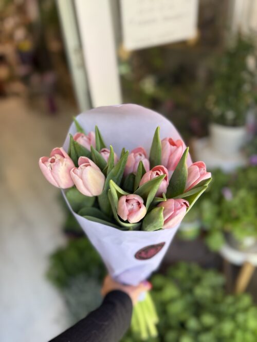Pomo tulipanes rosas