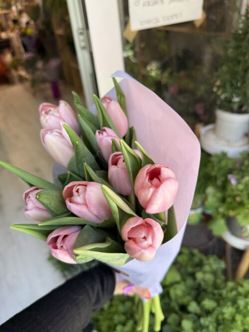 Pomo tulipanes rosas