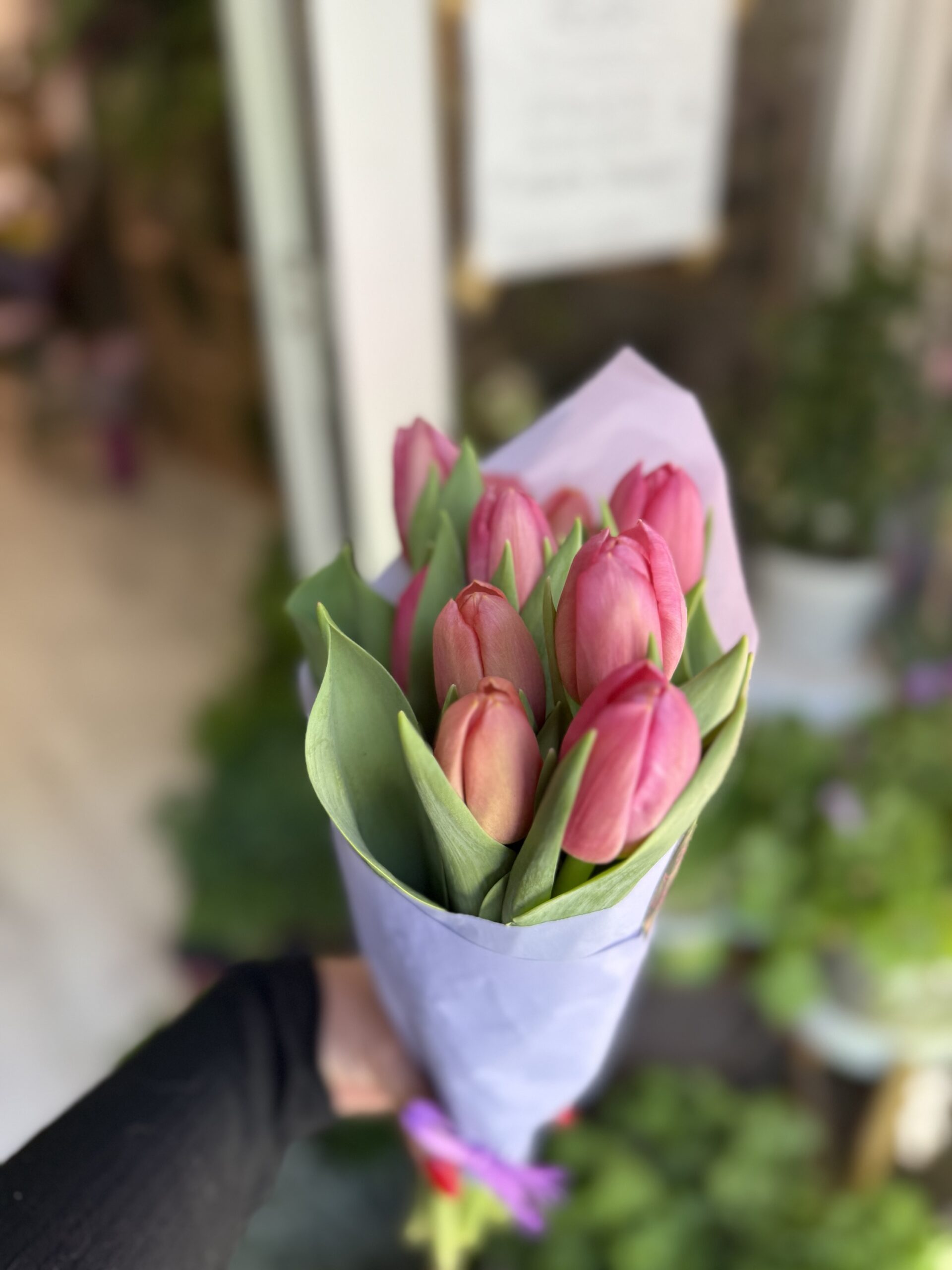Pomo tulipanes salmón