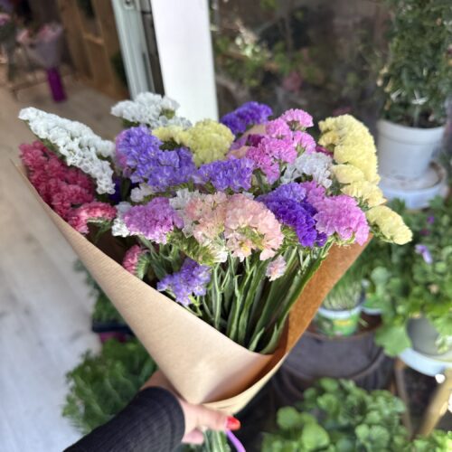 img_4104 Ramo de statice - ideal para secar