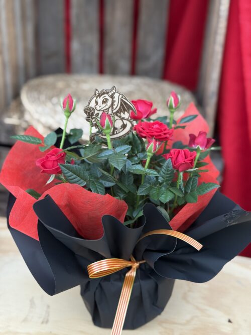 Rosal mini de Sant Jordi