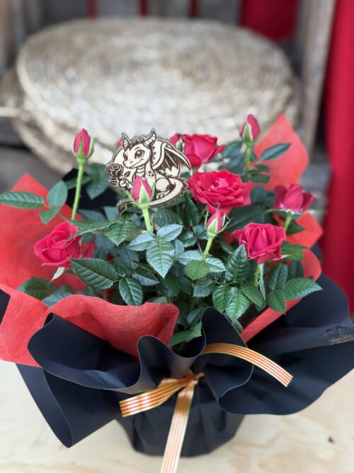 Rosal mini de Sant Jordi