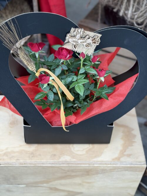 Rosal mini Sant Jordi corazón