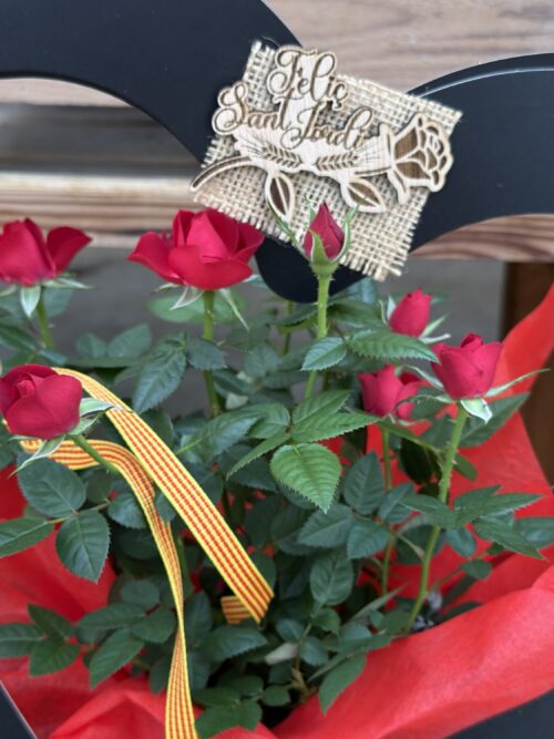 Rosal mini Sant Jordi corazón