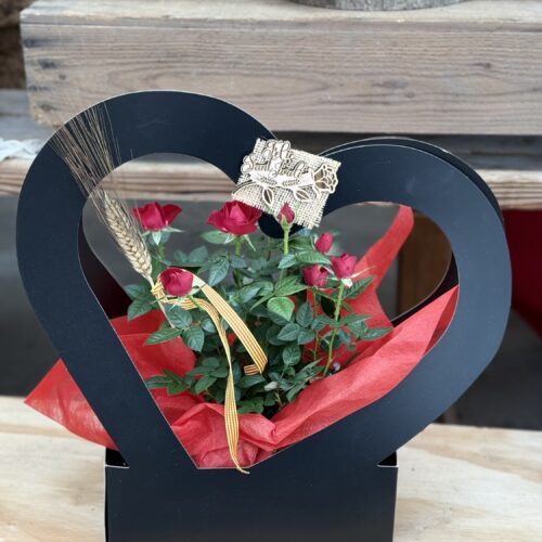 Rosal mini Sant Jordi corazón