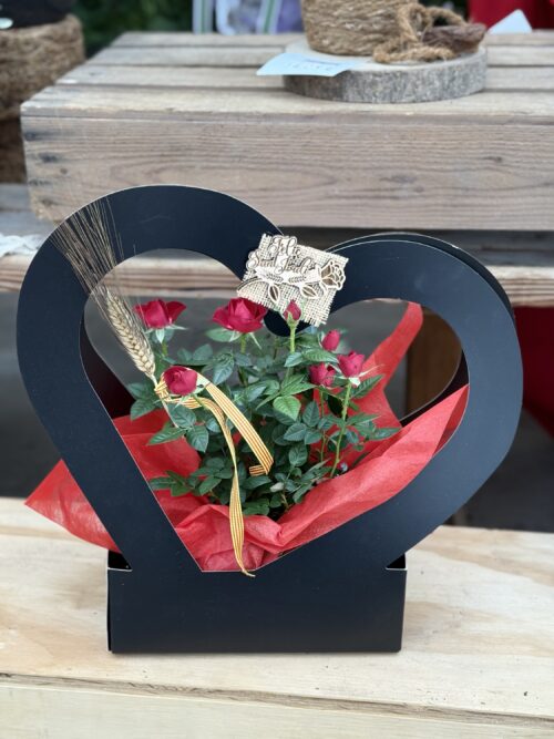 Rosal mini Sant Jordi corazón