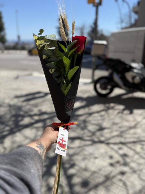 Rosa de Sant Jordi - La clásica