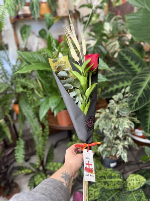 Rosa de Sant Jordi - La clásica