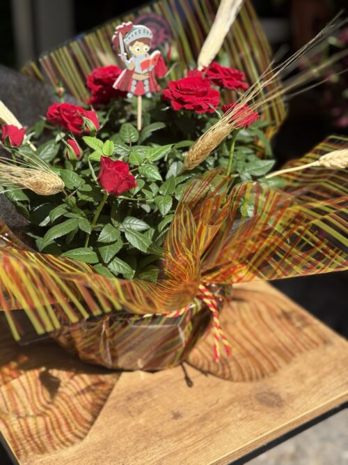 Rosal mini de Sant Jordi XL