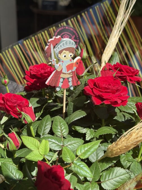 Rosal mini de Sant Jordi XL