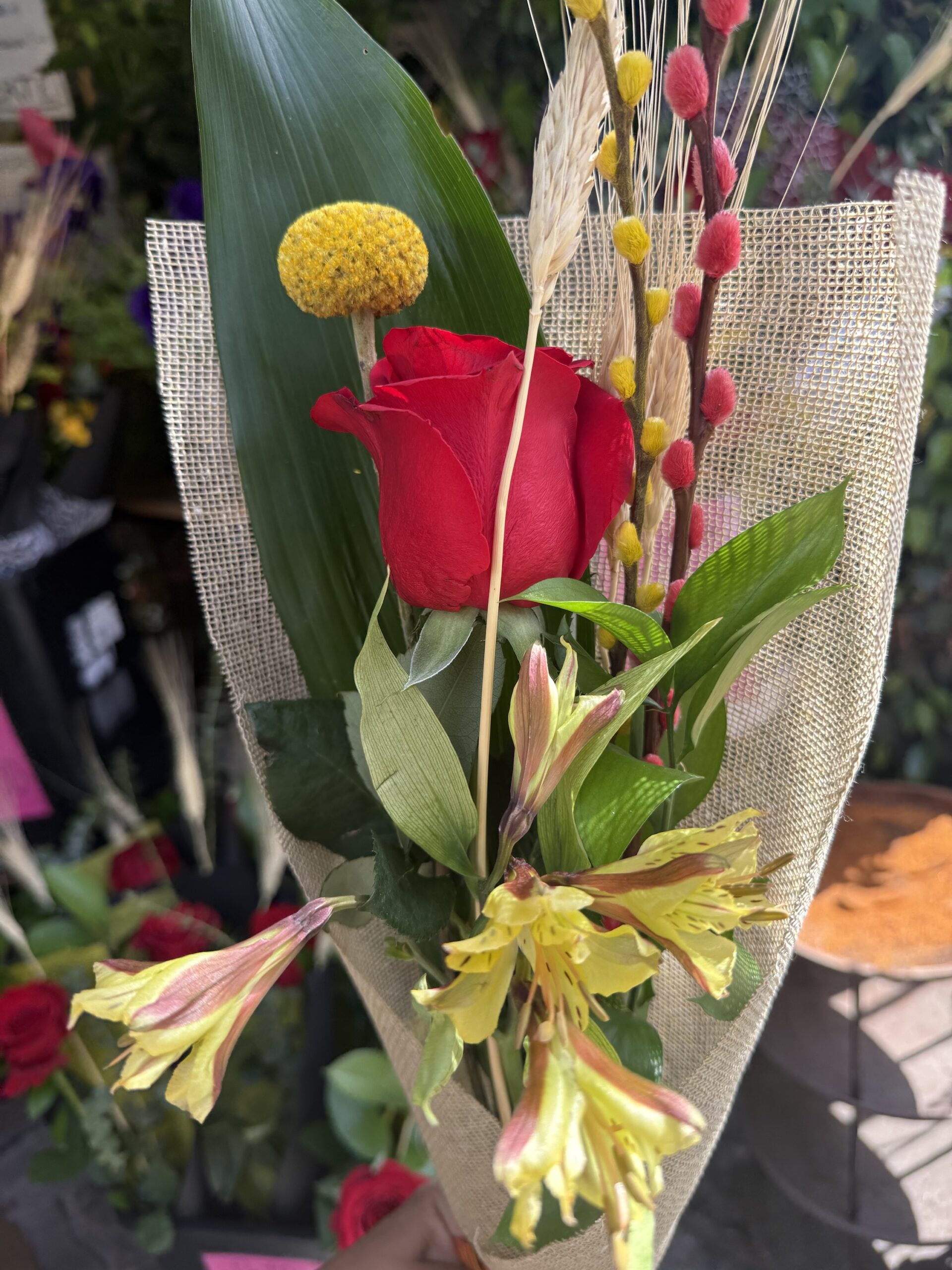 La Premium - Rosa de Sant Jordi